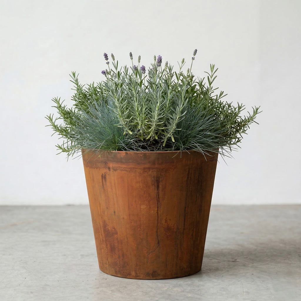 Conic Corten Steel Planter (H 24" x Ø 25")