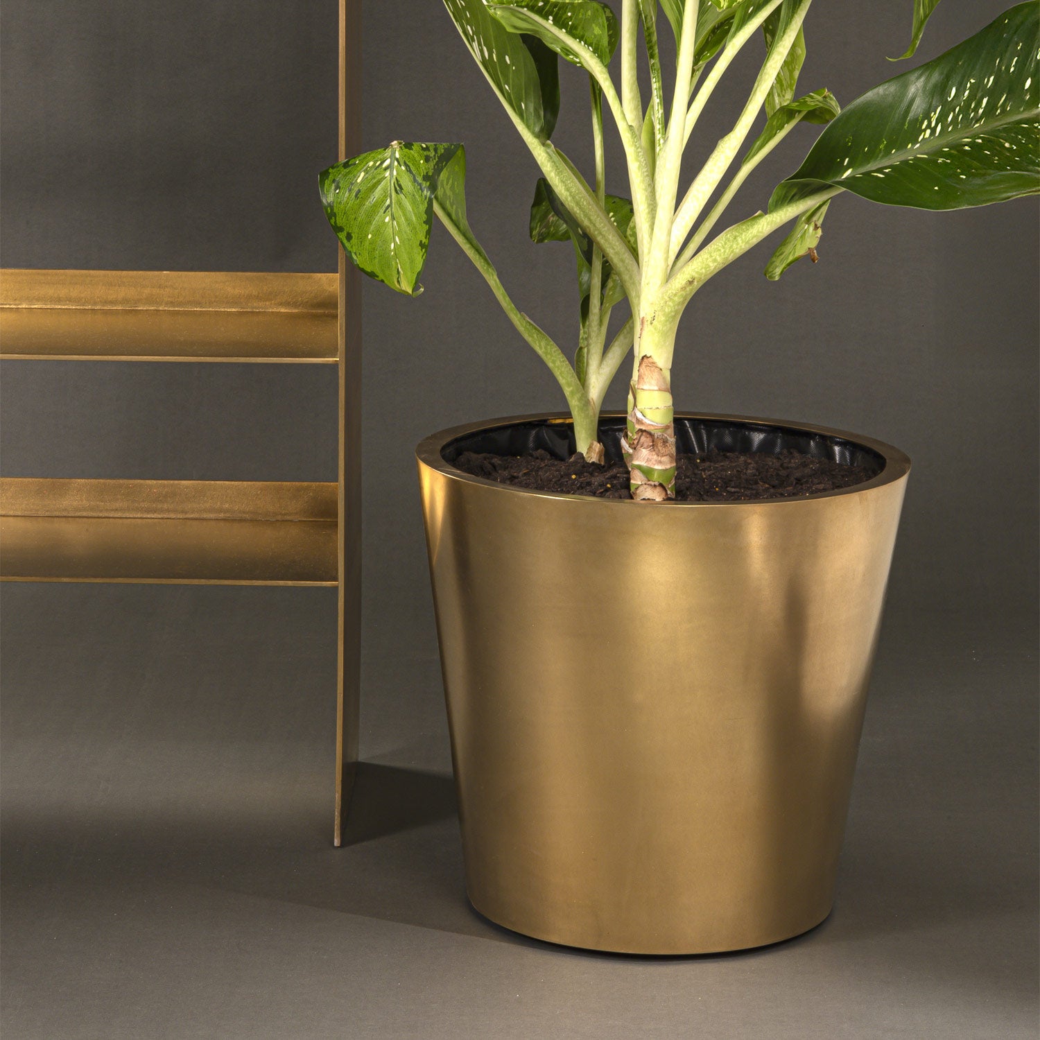 Axia Bookcase 01