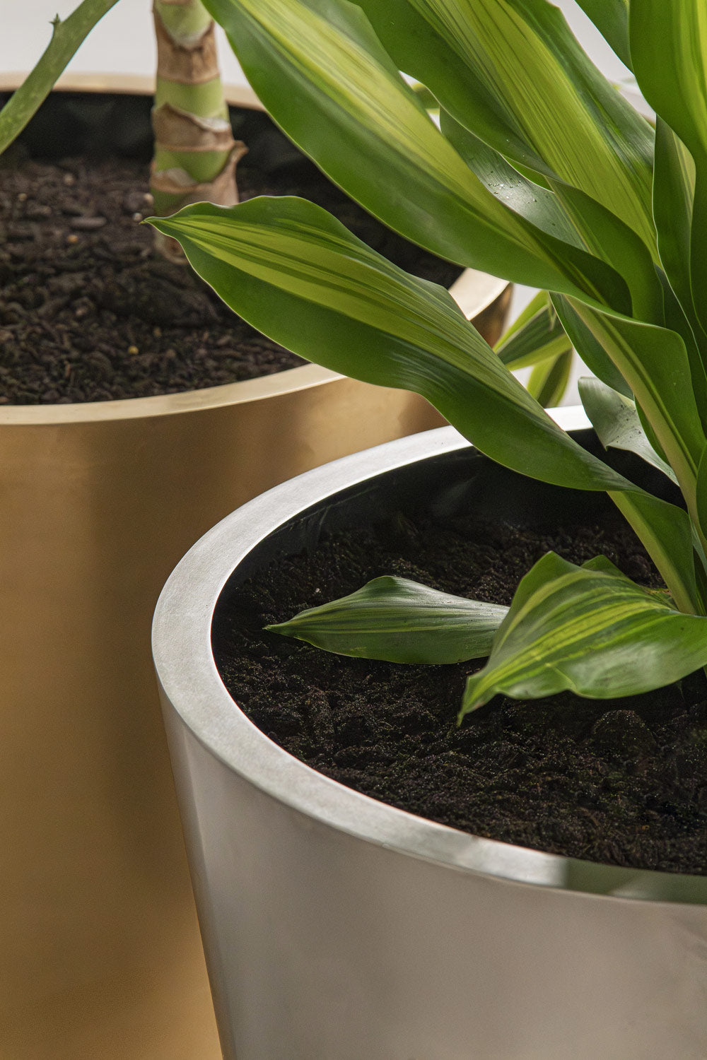 Conic Stainless Steel Planter (H 30” × ⌀ 29”)