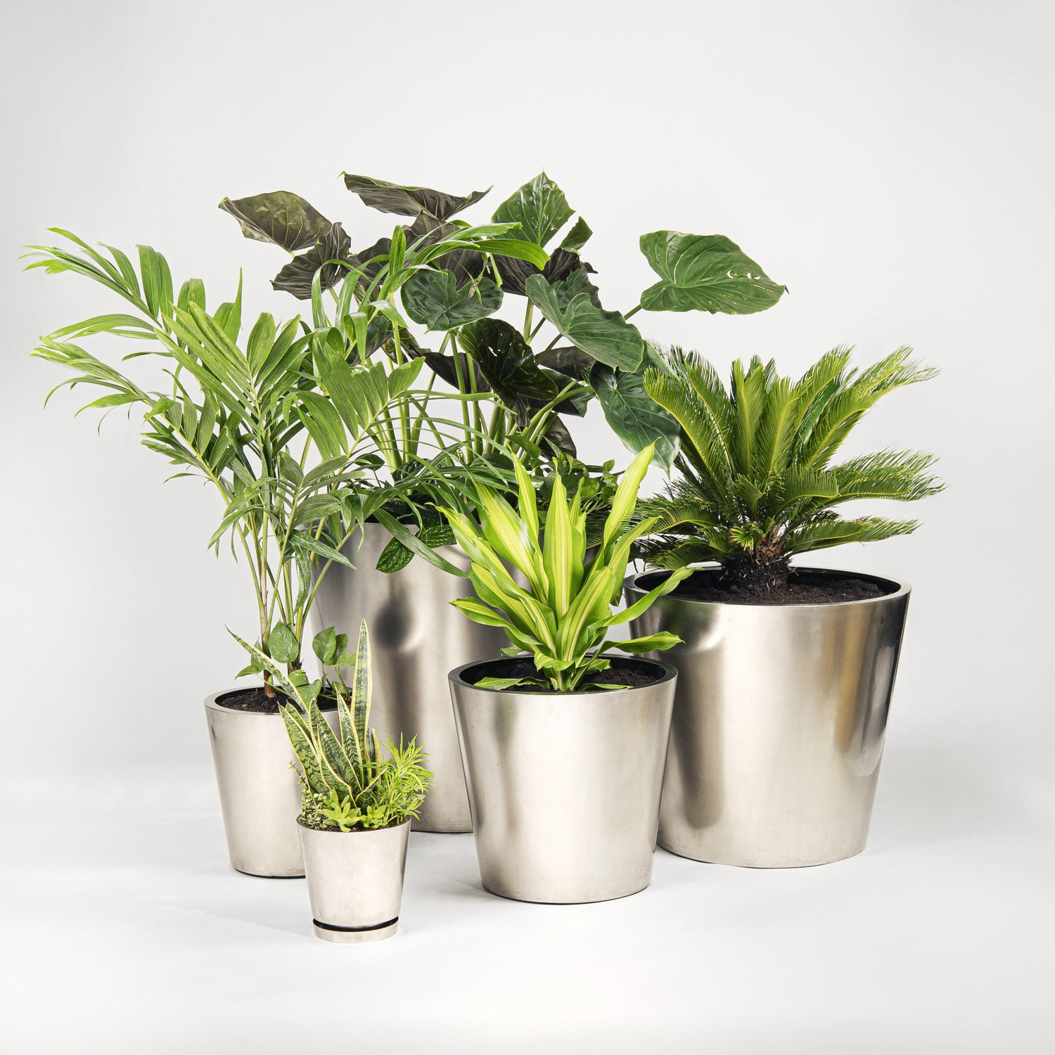 Conic Stainless Steel Planter (H 36” × ⌀ 33”)